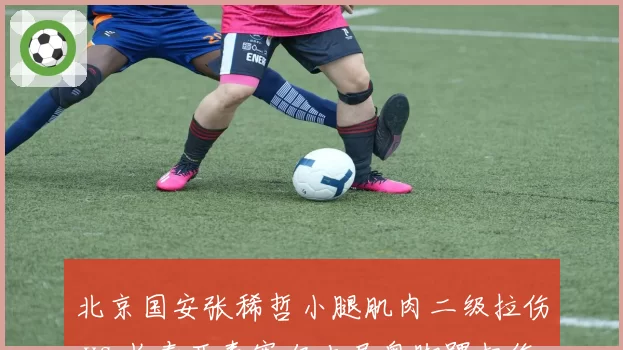 北京国安张稀哲小腿肌肉二级拉伤 vs 长春亚泰塞尔吉尼奥脚踝扭伤：中场指挥官缺阵影响对比